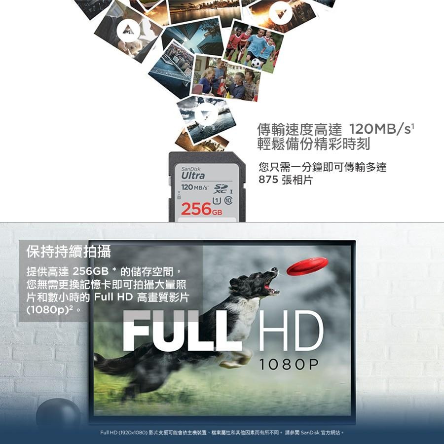 SanDisk Ultra SDHC UHS-I 32GB 記憶卡 120MB/s DUN4(公司貨)-細節圖4