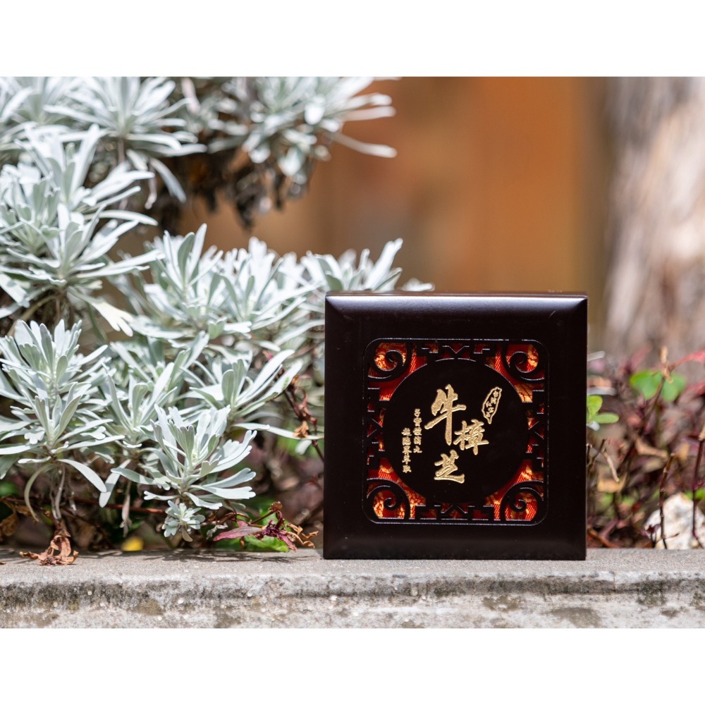 牛樟芝滴丸(盒裝)-椴木-子實體 國際級檢驗認證 男女適用 食品 超臨界萃取-細節圖4