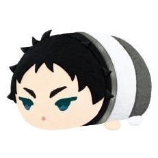 排球少年 ハイキュー!! Vol.3 Mini款 迷你趴趴 迷你趴娃 迷你蟲娃 迷你糰子 迷你趴趴公仔 吊飾 (現+預)-規格圖1