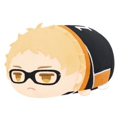 排球少年 ハイキュー!! Vol.1 MS 趴趴 趴娃 蟲娃 糰子 趴趴公仔 小抱枕 (現+預)-規格圖1