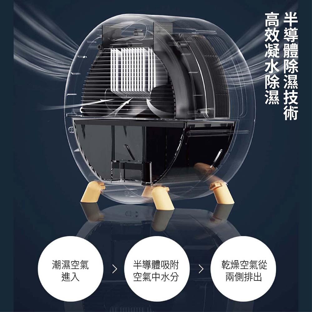 WiLDEX 除濕機 | 迷你除濕機 除溼袋 除溼盒 除濕包 除溼機 智慧家電 防潮 1L除溼量 3~5坪 冷凝 乾衣-細節圖3