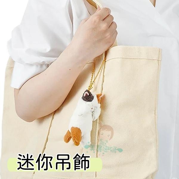 現貨日本LIV HEART遮眼 害羞動物 拉鍊包 貓咪 吊飾  伸縮 票卡夾 鑰匙圈 貓咪水獺兔子柴犬虎斑貓【美麗密碼】-細節圖2