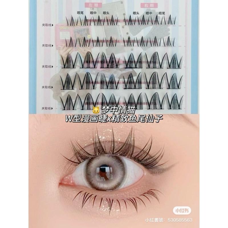 FLORTTE花洛莉亞 千金日記自黏免膠假睫毛 上下睫毛一盤搞定 分段式單簇眼睫毛 新手自然百搭-細節圖6