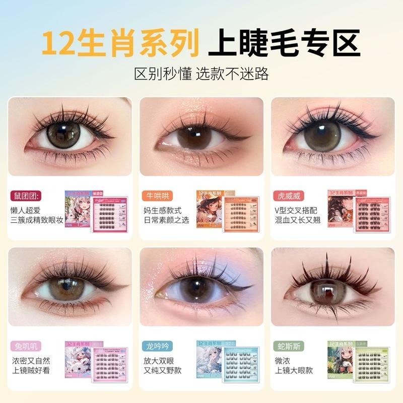 十二生肖 免膠假睫毛『12款可選』純欲太陽花捲翹分段嫁接免卸下睫毛 UWN 免膠水自然仿真眼睫毛-細節圖4