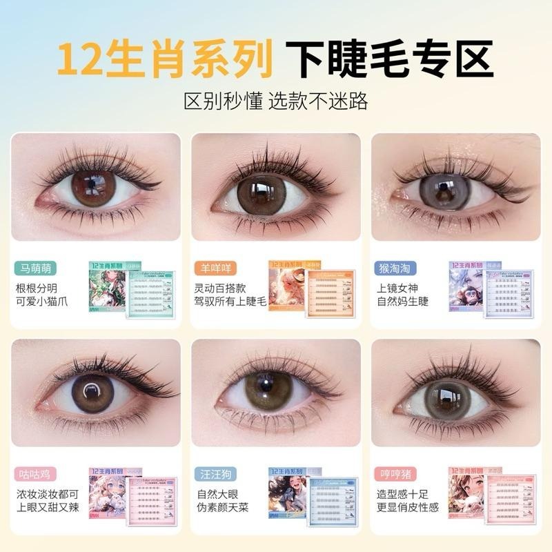 十二生肖 免膠假睫毛『12款可選』純欲太陽花捲翹分段嫁接免卸下睫毛 UWN 免膠水自然仿真眼睫毛-細節圖5