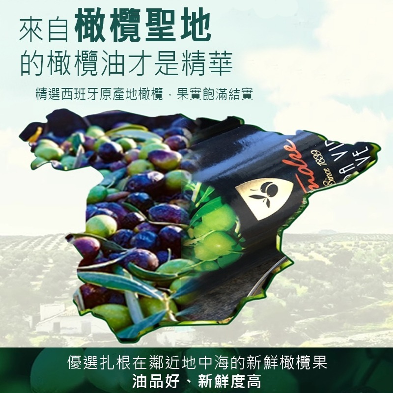【台灣總代理】西班牙原裝進口添得瑞第一道初榨冷壓頂級橄欖油 一瓶多用，料理煎煮炒炸、可生飲 500ml*2瓶-細節圖2
