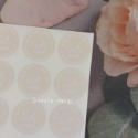 橘子雜貨店🍊霧面純色贈品貼🍊2種款式8種顏色-規格圖2