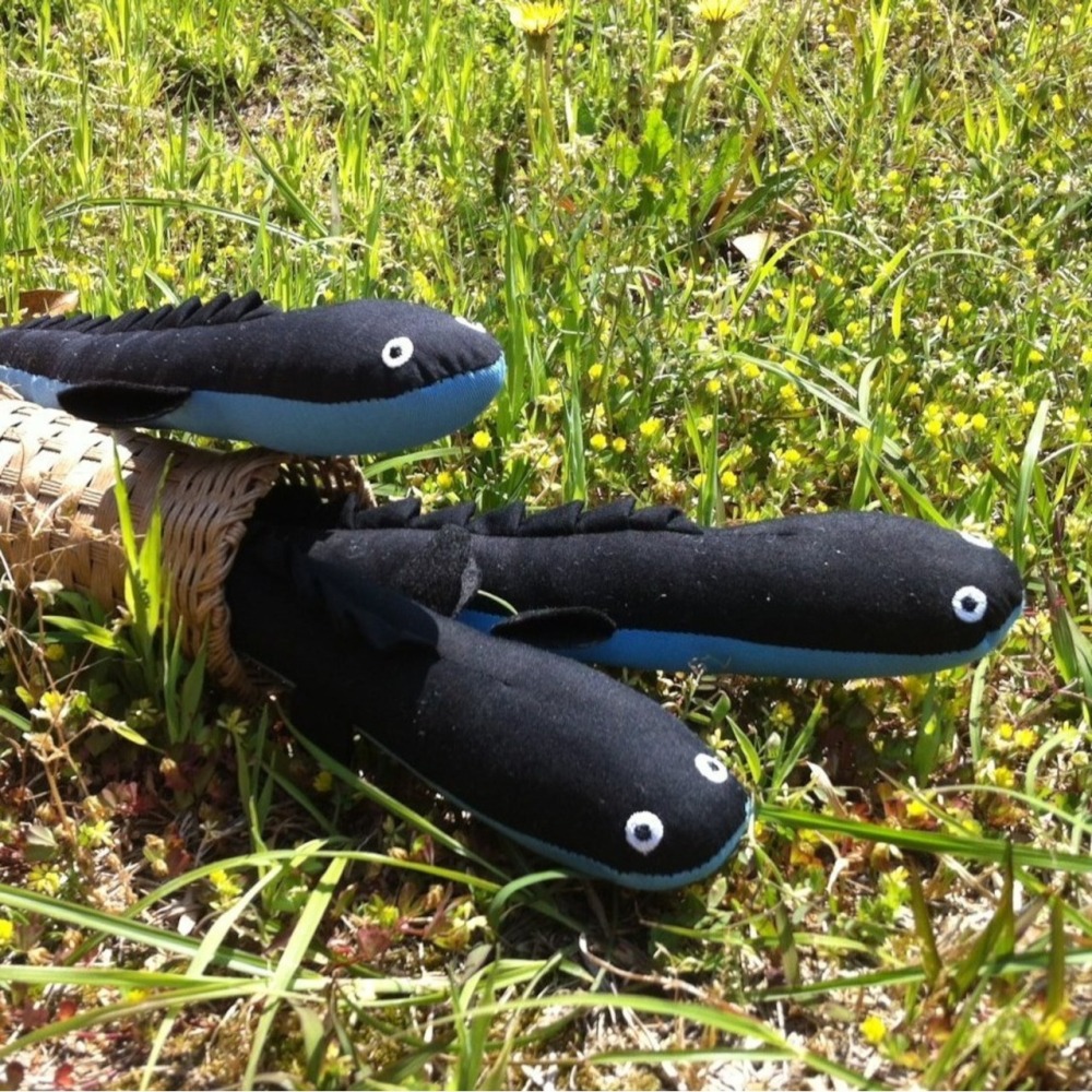 《希望之棲》【現貨】鳥羽海洋民俗博物館原創泥鰍娃娃 三重鳥羽海洋館限定商品 原創商品 人氣鰻魚娃娃+傳統鰻魚捕捉籠組合-細節圖4