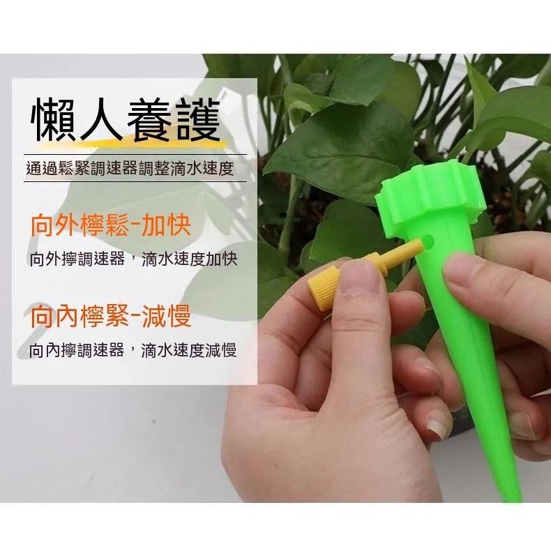 澆花器10個30元 自動澆花 澆花 滴水調節 園藝種植 可調節 寵物喝水 澆水 可調節澆花器 自動灌溉 澆花神器-細節圖3