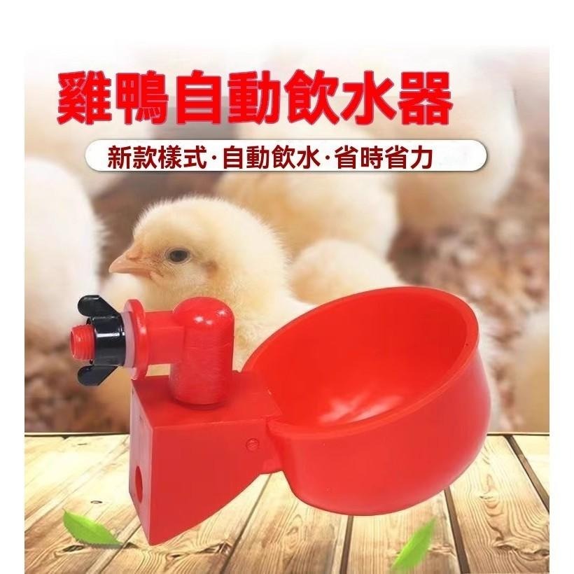 自動水碗 飲水器 養殖專用 省時省力 DIY 雞 鴨 鵝 養雞 養殖設備 餵鴿子水碗鳥飲水器 鵪鶉 雞水槽 碗 餵食器具-細節圖8