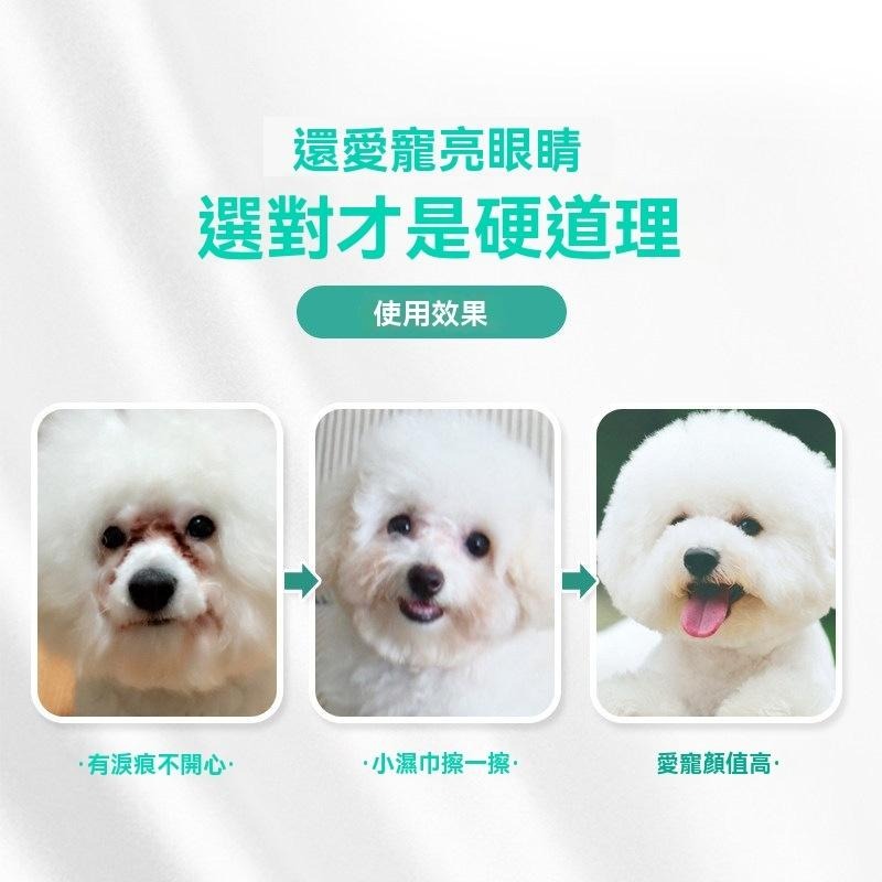 寵物濕紙巾 貓狗濕紙巾 寵物濕巾 加厚寵物濕巾 無香寵物濕巾 加厚韌性高 雙蓋鎖水 清理屁屁 眼部清潔 戶外擦腳 旅行-細節圖5