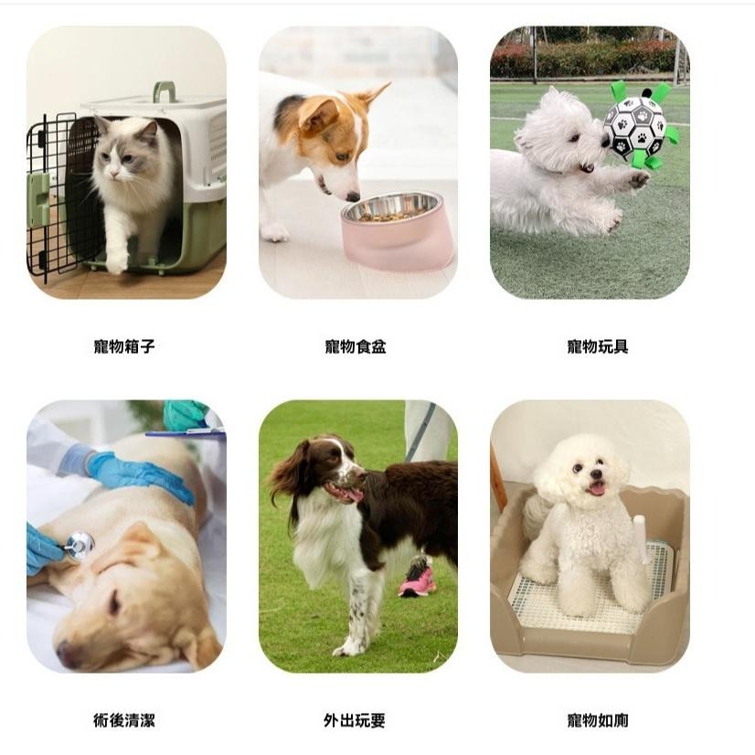 寵物濕紙巾 貓狗濕紙巾 寵物濕巾 加厚寵物濕巾 無香寵物濕巾 加厚韌性高 雙蓋鎖水 清理屁屁 眼部清潔 戶外擦腳 旅行-細節圖6