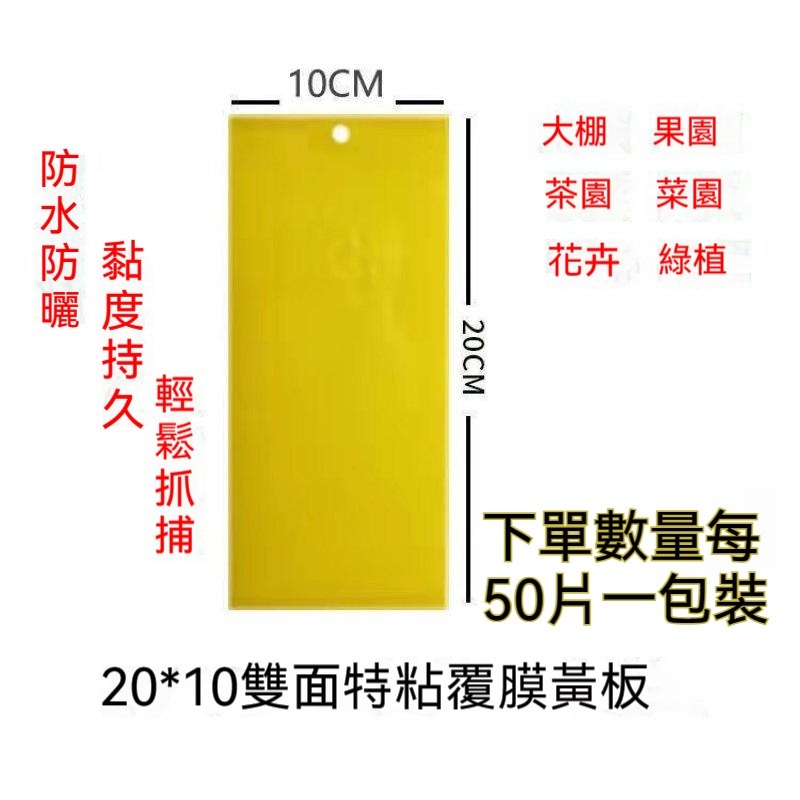 50片100元 黏蟲板 黃色黏蟲紙 黏蒼蠅紙 誘蟲板 黏蟲紙 植物防蟲紙 捕蟲板 黏蟲膠板 陽台菜園防蟲 雙面-規格圖9