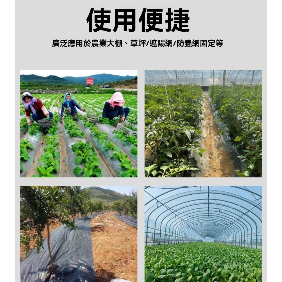 50個50元 不鏽鋼U型 地釘 批發 戶外 草皮 植物園釘 防草布 地膜 U型 固定地釘 地佈釘 倒刺釘 固定釘-細節圖7