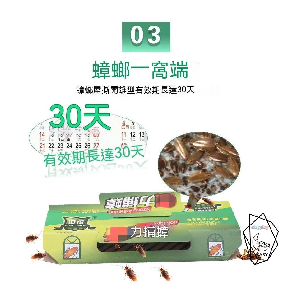 【10張30元】蟑螂屋 一次性 黏蟑屋 一盒10張  黏貼式蟑螂屋 DIY 蟑螂誘捕器 蟑螂貼 附誘餌 拋棄式 黏蟑螂-細節圖8