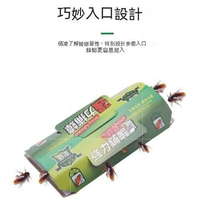 【10張30元】蟑螂屋 一次性 黏蟑屋 一盒10張  黏貼式蟑螂屋 DIY 蟑螂誘捕器 蟑螂貼 附誘餌 拋棄式 黏蟑螂-規格圖9