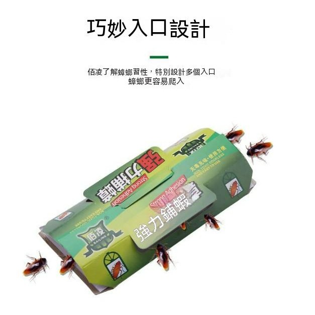 【10張30元】蟑螂屋 一次性 黏蟑屋 一盒10張  黏貼式蟑螂屋 DIY 蟑螂誘捕器 蟑螂貼 附誘餌 拋棄式 黏蟑螂-規格圖9