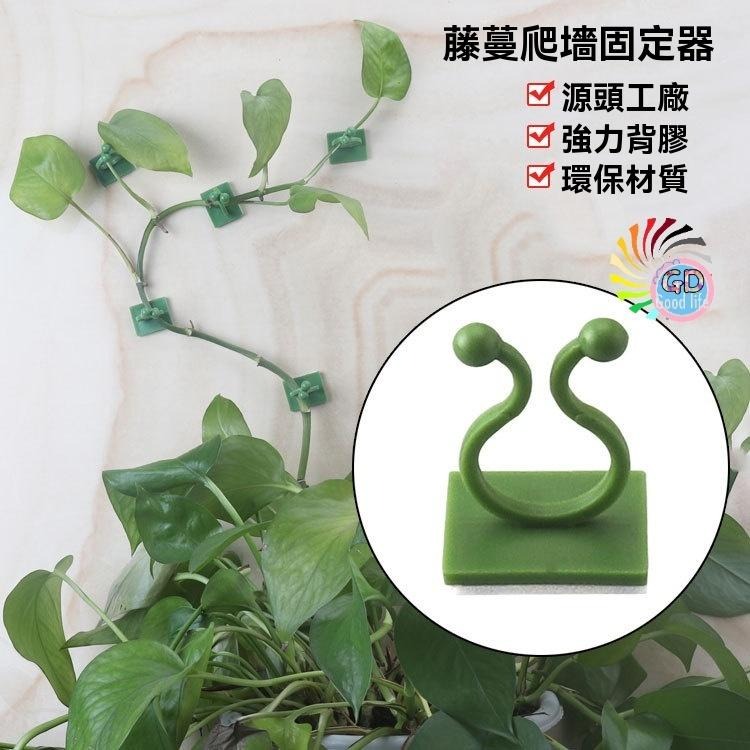10個10元 收納 束帶 綠蘿固定器直銷藤蔓植物固定夾子免打孔 電線固定 整理線 固定線 爬牆固定器藤蔓固定器 綠植-細節圖2