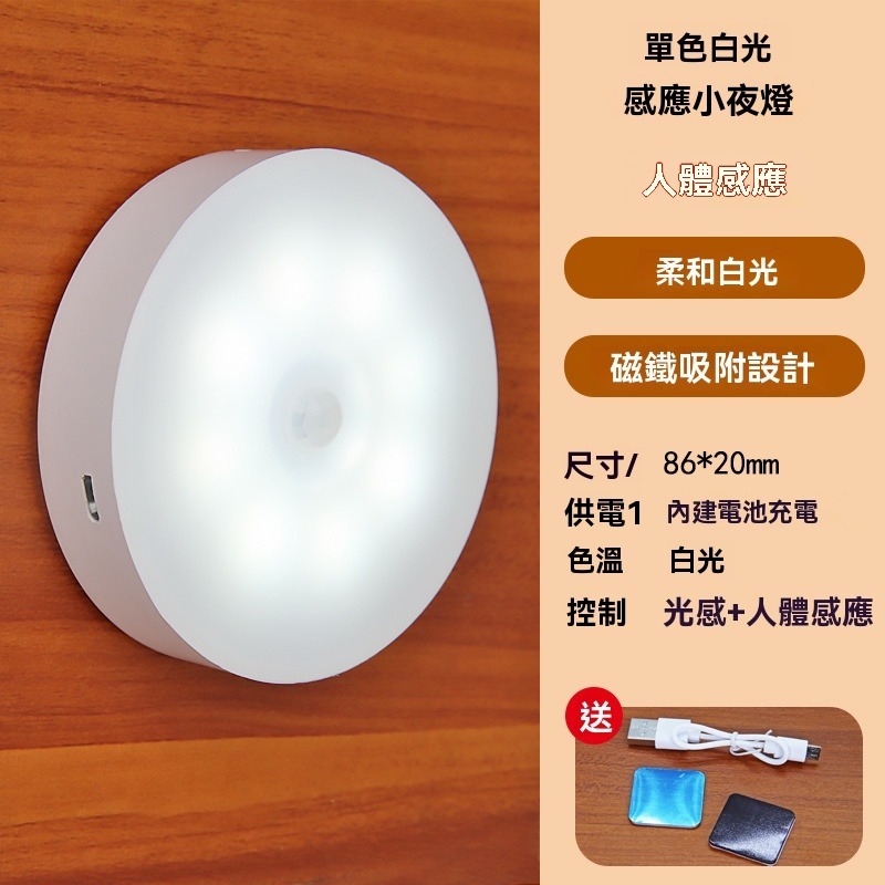 📢感 應式-白光