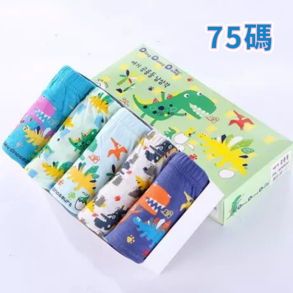 4-恐龍~75碼(1條)