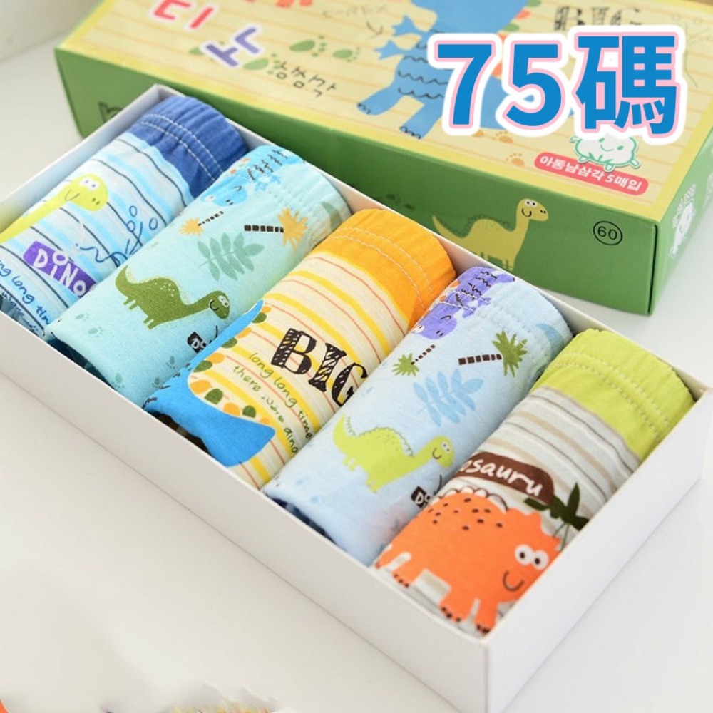 BIG-恐龍~75碼(1條)