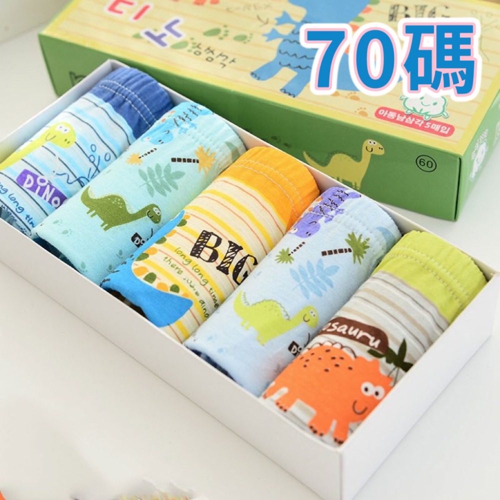 BIG-恐龍~70碼(1條)