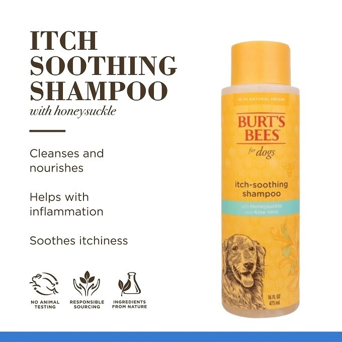🐶美國原裝🐶 Burt＇s Bees for Pets 蜜蜂爺爺 狗狗舒緩乾癢沐浴露，含金銀花和蜂蜜-細節圖3
