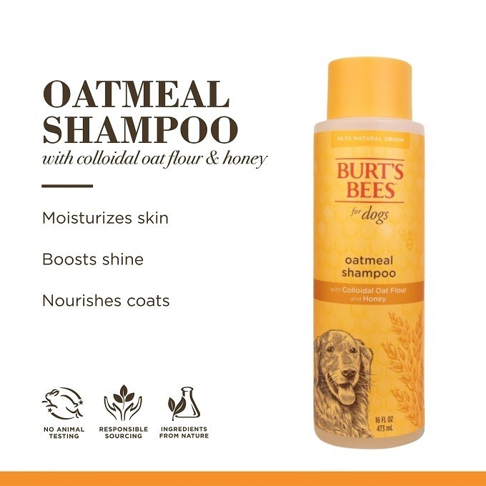 🐶美國原裝🐶 Burt＇s Bees for Pets 蜜蜂爺爺 燕麥狗狗沐浴露，含膠體燕麥粉和蜂蜜-細節圖3