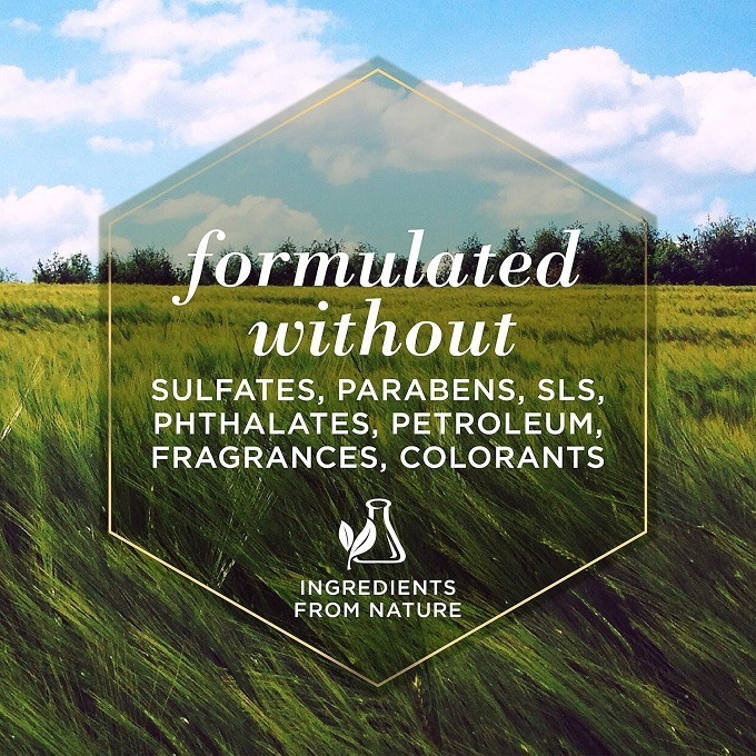 🐶美國原裝🐶 Burt＇s Bees for Pets 蜜蜂爺爺 燕麥狗狗沐浴露，含膠體燕麥粉和蜂蜜-細節圖6