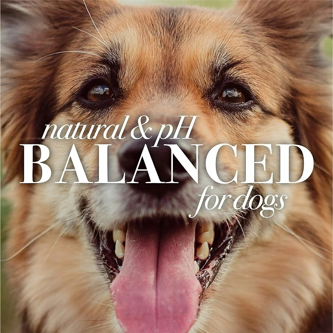 🐶美國原裝🐶 Burt＇s Bees for Pets 蜜蜂爺爺 狗狗天然除臭沐浴露，含蘋果和迷迭香-細節圖7
