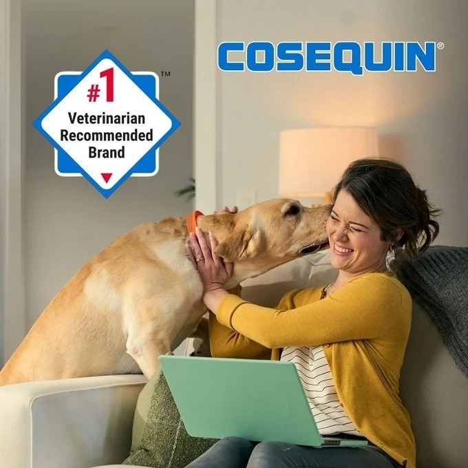 🐶最新效期🔹原瓶原裝🐶 美國高效版 COSEQUIN 萃麥思含玻尿酸強效配方犬關節保健咀嚼錠 180粒-細節圖8