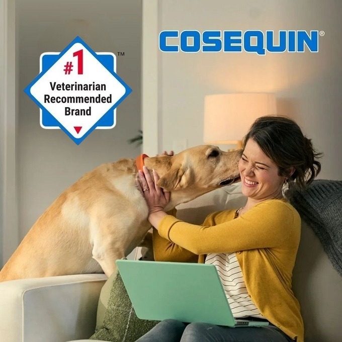 🐶最新效期🔹原瓶原裝🐶 美國高效版 COSEQUIN 萃麥思含玻尿酸強效配方犬關節保健咀嚼錠 180粒-細節圖8