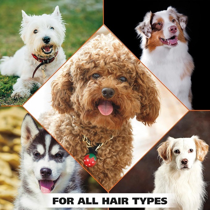 🐱現貨🔹整瓶原裝🐶美國名牌 Wahl Pet Shampoo 高濃縮配方 寵物毛髮洗潔精-細節圖8