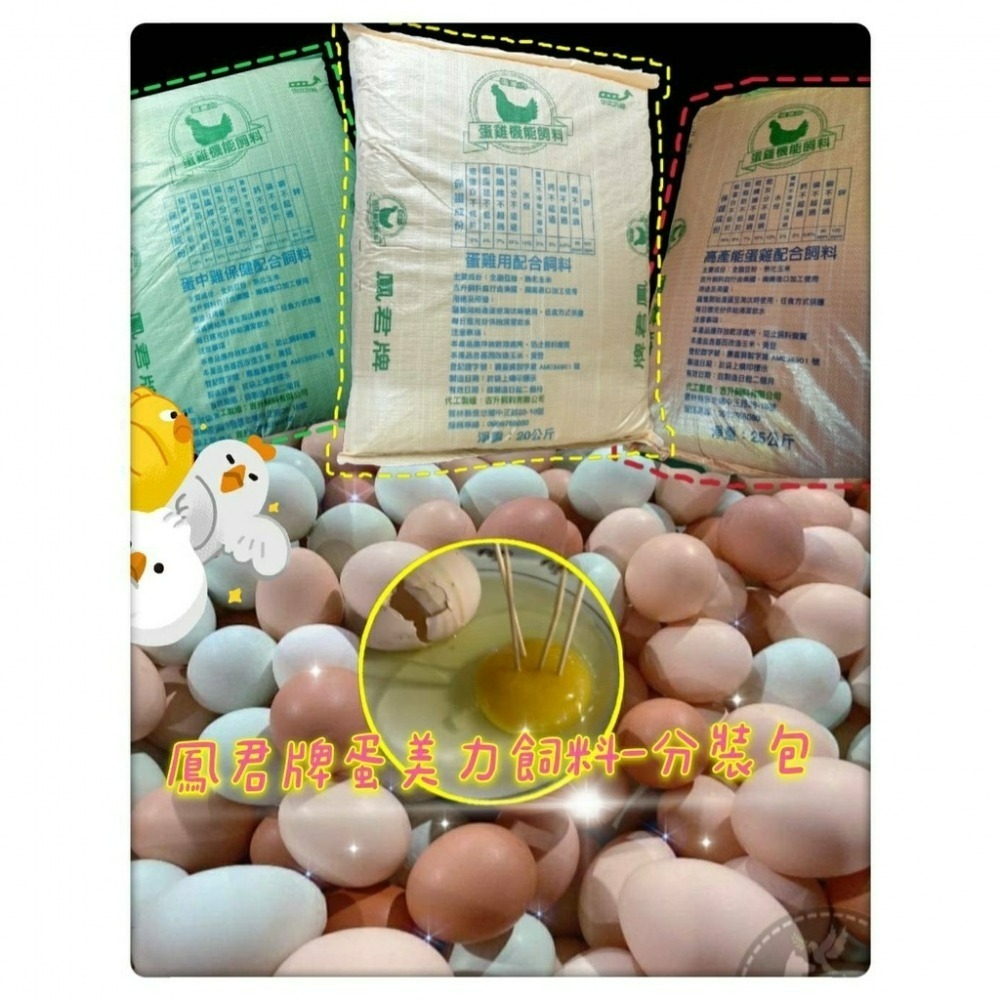 鳳君商行 鳳君（黃）濃縮營養版-蛋雞飼料 加強版本 雞飼料界的LV-細節圖2
