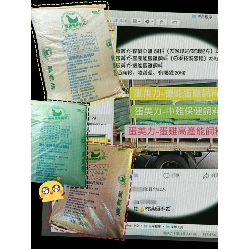 鳳君商行 鳳君（黃）濃縮營養版-蛋雞飼料 加強版本 雞飼料界的LV-細節圖3