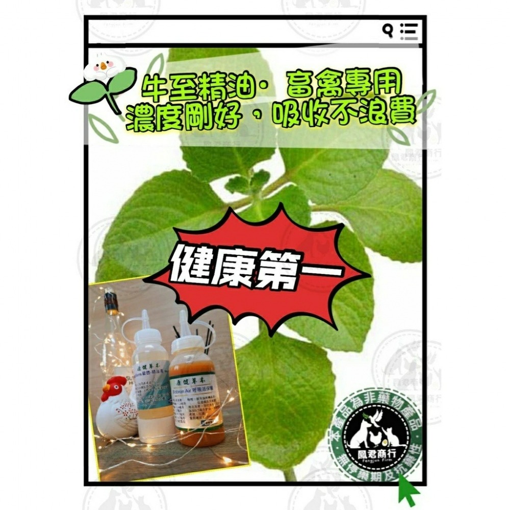 鳳君商行 鴿禽用 牛至呼吸道精油 呼爽寧1L-細節圖2