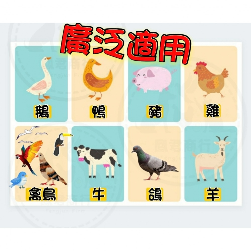 鳳君商行 鴿禽用 牛至呼吸道精油 呼爽寧1L-細節圖3