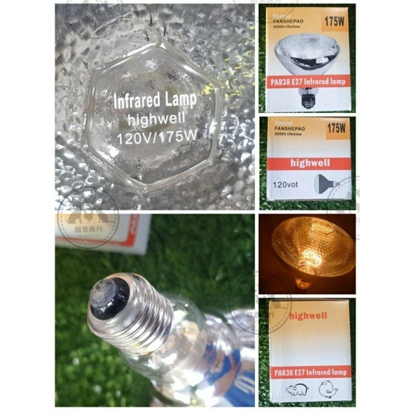 鳳君商行 175W保溫燈泡 家禽寒流必備-細節圖2