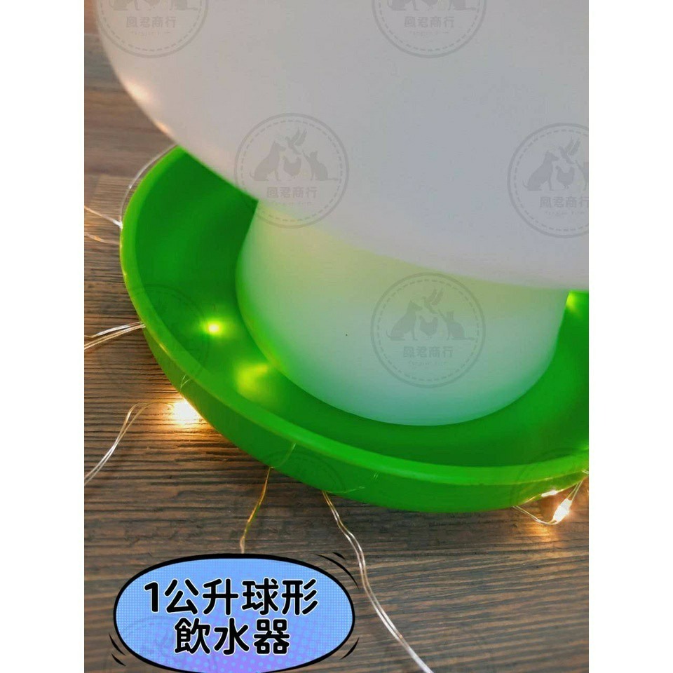 鳳君商行 專業好物 小雞 家禽用球型飲水器 1公升/600ml-細節圖2
