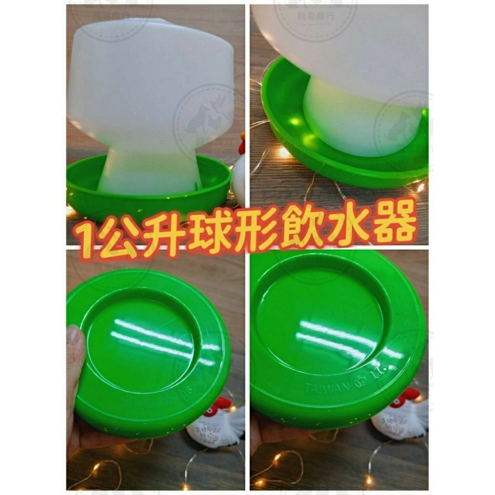 鳳君商行 專業好物 小雞 家禽用球型飲水器 1公升/600ml-細節圖3