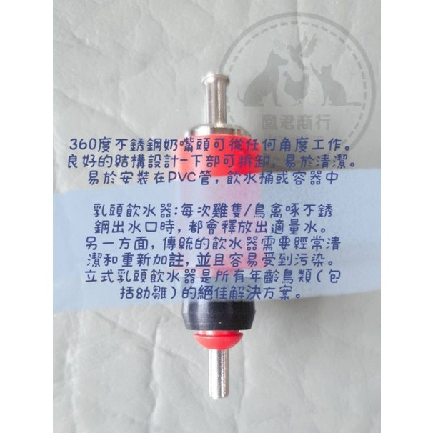 鳳君商行 家禽飲水乳頭 飲水杯 雞飲水杯-細節圖2