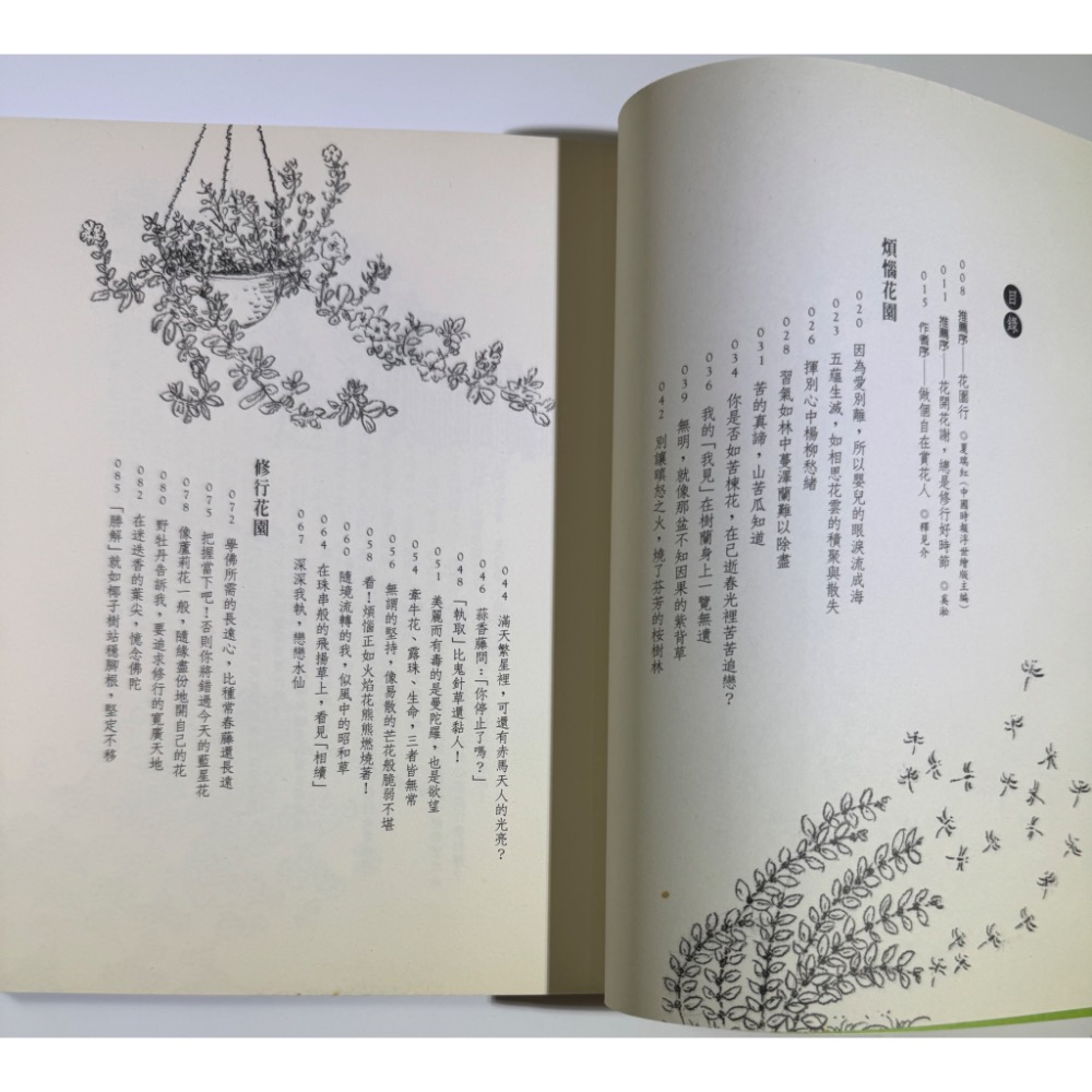 和佛陀賞花去-細節圖3