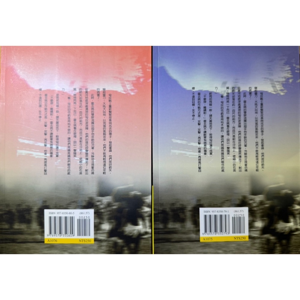 大漠戰神 霍去病（上、下冊）-細節圖2