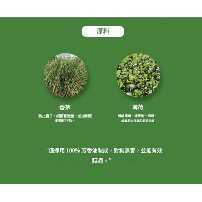 Nature＇s Dog-細節圖3