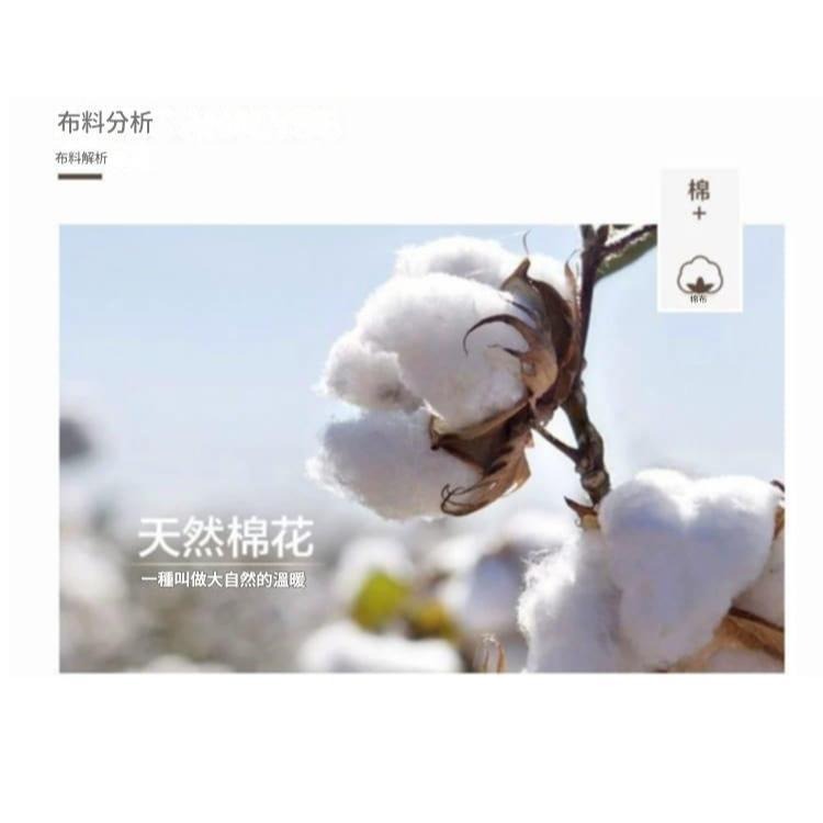 5L【大尺碼內褲】 🐲購購龍 台灣製 加大內褲 兄弟牌100% 純棉 大尺寸 四角褲 內褲 平口褲 台製 居家褲-細節圖5