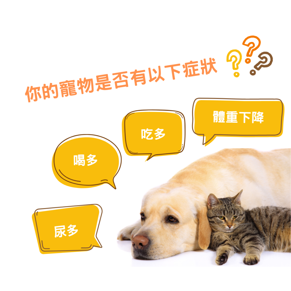 萌護寶 LS 升級版 寵物血糖機 創新 便利 專業 體驗套組-細節圖3