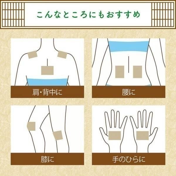 現貨 🇯🇵 日本製造 日本 Belicleen 和漢樹液足貼 6枚入 三伏貼 濕氣貼 休足貼 木醋 鍺  魚腥草-細節圖4