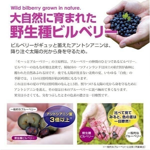 現貨 🇯🇵 日本 YAWATA 動物造型兒童藍莓 40入 花青素-細節圖4
