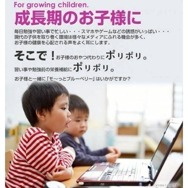 現貨 🇯🇵 日本 YAWATA 動物造型兒童藍莓 40入 花青素-細節圖2