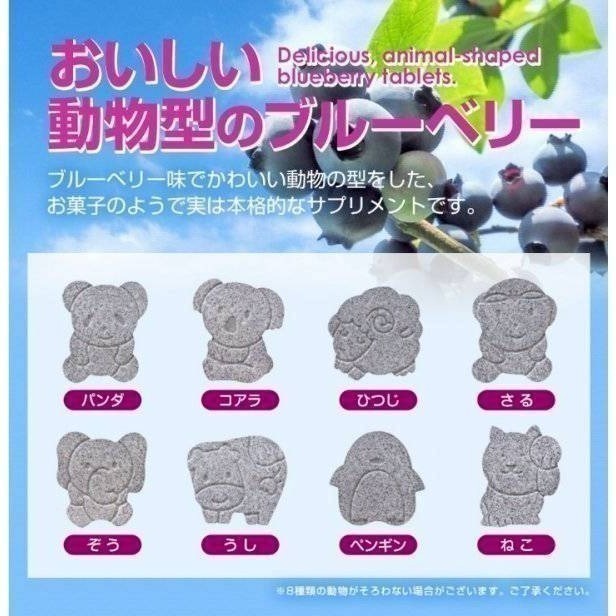 現貨 🇯🇵 日本 YAWATA 動物造型兒童藍莓 40入 花青素-細節圖3